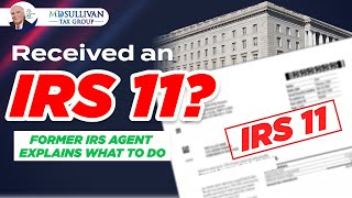 WARNING Ex IRS Collection Agent - Former IRS Agent Explains LT11 Notice: Stop IRS Levy Now!