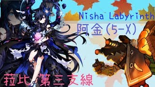 菈比第三職業Nisha Labyrinth 隱藏副本5-x -[艾爾之光韓服]