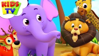 Zoo Song | Super Supremes Cartoons | Kindergarten Nursery Rhymes For Toddlers |