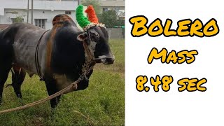 BOLERO 8.48 sec | Maruthavalli palaiyam