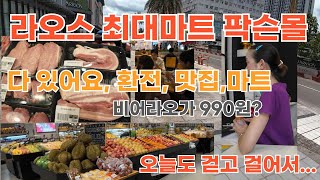 라오스 최대마트 팍슨몰 환전 맛집 마트 다 있어요/라오스여행,워라밸