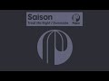 Saison - Downside (ORIGINAL MIX)