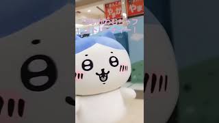 ちいかわむちゃフォトパーティー！元気なハチワレちゃん！