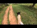 trail ride on the wild horse full pov video taming a wild horse ep24