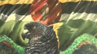 midnight groovers  rigrete