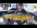 GUARANTEED Walleye Fishing Tips to Catch More on Spinners!