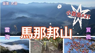 2023 -12 苗栗 大湖 馬那邦山(馬拉邦山) 小百岳#37 /珠湖登山口 / 賞楓🍁賞雲海☁️/聖稜線