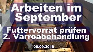 Arbeiten am Bienenvolk im September Teil 1 06.09.2018