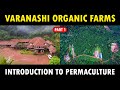 Introduction to PERMACULTURE FARMING | Varanashi Organic Farms | Sustainable Organic Farming