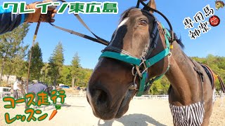 【乗馬クラブ】クレイン東広島　コース走行レッスン2022/05/04