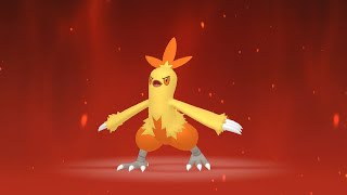 Pokédex #256: Combusken