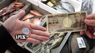 高い魚と安い魚、食べ比べてみたら違いはあるの？！【1万円の魚と激安の魚】