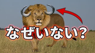 角のある肉食動物がいない理由がこちら【解説】