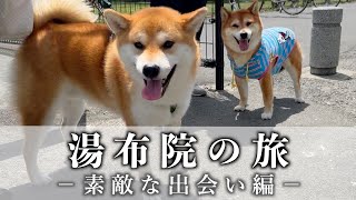 愛犬と大分湯布院旅行【前編】