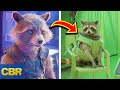 10 Little Known Facts About Rocket Raccoon From Marvel's Avengers