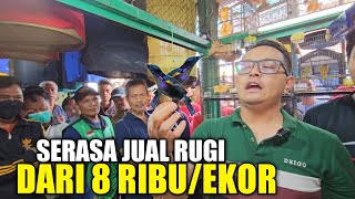 SATU PRAMUKA KENA MENTAL ! RATUSAN BURUNG OMBYOKAN DIOBRAL DIBAWAH HARGA PASARAN HARI INI