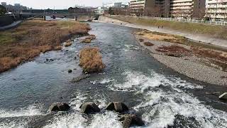 七条大橋から見た鴨川の流れ