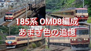 185系OM08編成あまぎ色の追憶