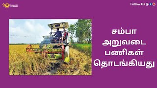 சம்பா அறுவடை பணிகள் தொடங்கியது | Chamba harvest work has started