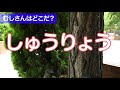 自然に隠れた虫さんを探しに行こう！！ 作り方もあるよ♪ 【簡単工作あそび