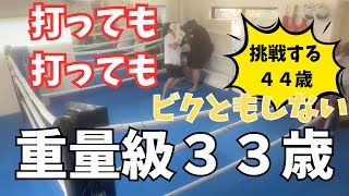 打っても打ってもビクともしないボクシングヘビー級の３３歳！