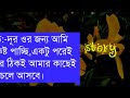 অবহেলিত ছেলেটি যখন বিমান বাহিনীর বড় অফিসার সকল পর্ব a romantic army love story