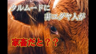 嘘の暴露：非ユダヤ人の「ゴイム」が家畜だとタルムードに書いてあるのか？？（質問コーナーのハイライト）