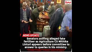Senators sniffing alleged fake fertiliser as Agriculture CS Linturi appears before committee.