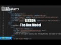 The Box Model | Learn CSS | Codecademy Walkthrough