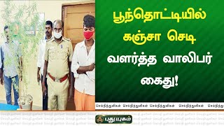 பூந்தொட்டியில் கஞ்சா செடி வளர்த்த வாலிபர் கைது | செய்தித் துளிகள் | PuthuyugamTV