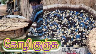 கோழி குஞ்சு | கிரி ராஜா | போன்தா கோழி | koli kunji | keriraja koli | pontha koli | kozhi valarpu |