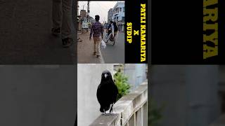 patli kamariya x crow x sudip 😂😂🔥🔥 #shorts #comedy #funny