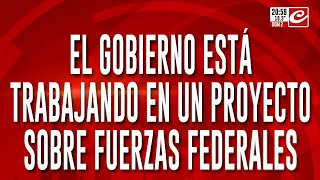 El gobierno está trabajando en un proyecto sobre las fuerzas federales