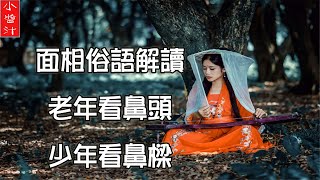 【面相俗語解讀】老年看鼻頭，少年看鼻樑