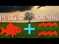 signo de aquário combina com o signo de peixes descubra agora