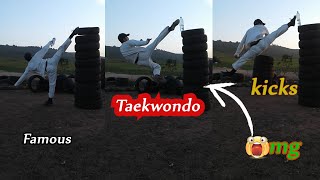 FAMOUS TAEKWONDO kicks🌟 | 💪ركلات التايكوندو الشهيرة | Kick540 and Splitkick🏋