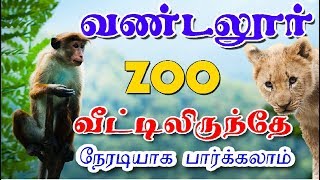 வண்டலூர் ZOO வீட்டில் இருந்தே நேரடியாக பார்க்கலாம் / vandalur zoo trip - Village Database