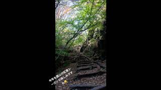 今年も霊山の紅葉シーズンが楽しみです🍂　おススメの山なので10月から是非伊達市へお越し下さい！#福島県伊達市　#伊達市　#霊山　#霊山紅葉