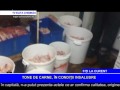 tone de carne În condiȚii insalubre