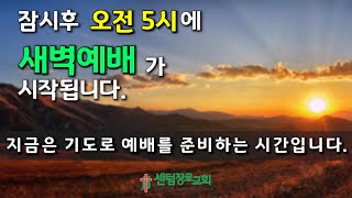 [센텀장로교회] 20240719 | 온라인새벽예배(말씀사랑) 느헤미야 8장