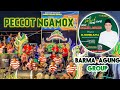 PECCOT NGAMOX - BATANG-BATANG || Parade Musik Tongtong Bersama Barma Agung Group