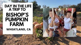 Bishop's Pumpkin Farm Attractions 2021- Family Fun at one of the BEST Sacramento Pumpkin Patches!