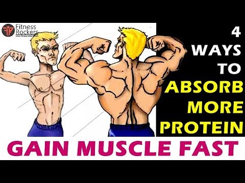 4 Ways To Absorb MORE Protein To GAIN MUSCLE Fast | Bodybuilding Muscle ...