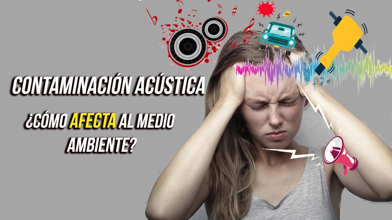 ¿Cómo Afecta Al Medio Ambiente La Contaminación Acústica? - YouTube