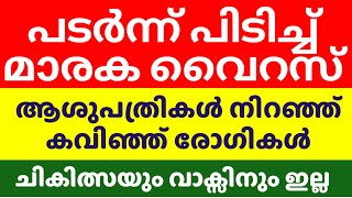 അതിവേഗം രോഗം പടരുന്നു. മാരക വൈറസ് . അടിയന്തിരാവസ്ഥ #latest_news #news #malayalamnews #breakingnews