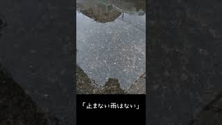 雨の日にチャリダーが思うこと☔️［ロードバイク］［チャリダー］［雨の日］［止まない雨はない］［森本レオ］#shorts