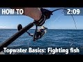 Topwater basics Fighting Fish