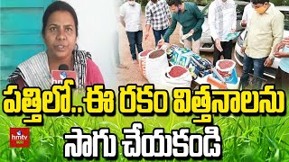 పత్తిలో...ఈ రకం విత్తనాలను సాగు చేయకండి |  Fake Cotton Seeds | hmtv Agri