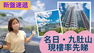 【新盤推介】名日・九肚山💁🏼‍♀️現樓率先睇