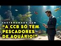 TESTEMUNHOS CCB A CONGREGAÇÃO TEM PESCADORES DE AQUÁRIO! #ccb #testemunhoccb #cultoonlineccb